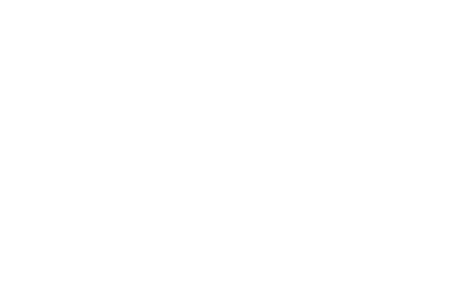 Rokka Fusion Logo